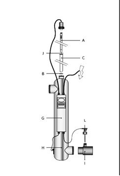pro-34782.jpg