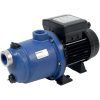 Pentair Blueflo Lite 1hp Booster Pump