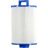Pleatco Advanced Spa Filter Cartridge PSANT20P4