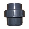 Plastica 2in Socket Union P P