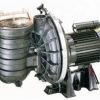 Certikin 2HP (1.5kW) Sta-Rite, 3 Phase - 2" suction & delivery