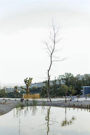 pool359.jpg