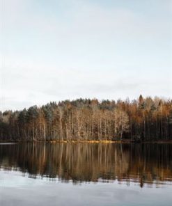 Certikin Timber Deck 10Mm Ali Drop Anchor (WDCSP011)