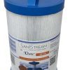 Darlly DL716 Sanistream Direct Line Spa Filter PTL18P4 4CH-21 40191