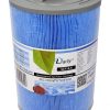 Darlly SC714 SIlverStream Anibacterial Spa Filter PWW50P3-M 60401M