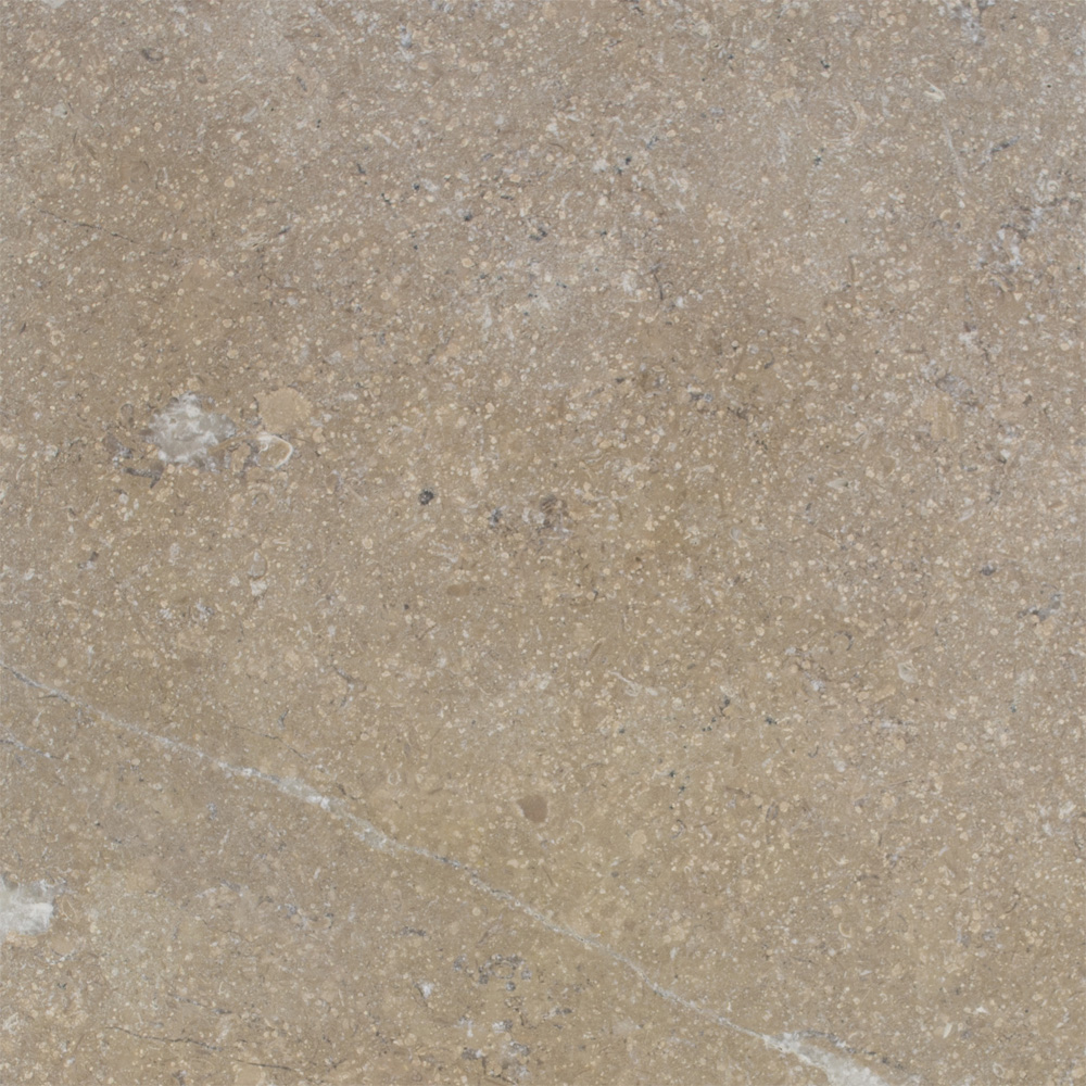 CS-FOSSA-P962_1.jpg