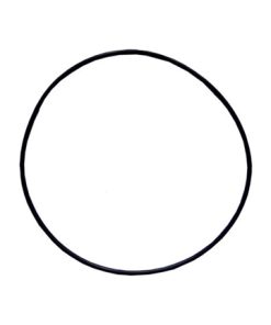 Plastica Endurance Filter Lid O - Ring