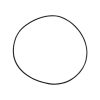 Plastica Endurance Pump Motor Bridle O-Ring