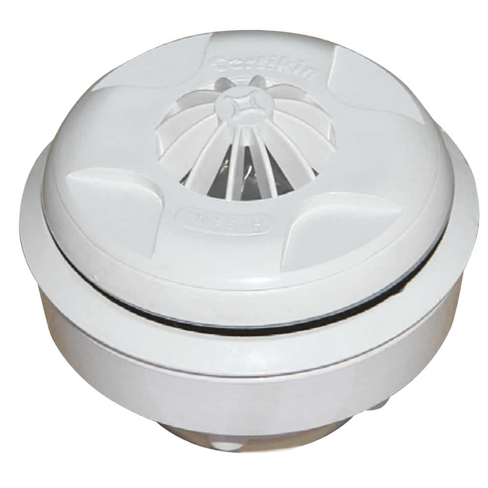 HD54PLT5_1.jpg