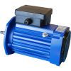 Plastica Argonaut Pump Motor for Single Phase for AV50