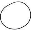 Plastica Hayward MPV Cover O-Ring 715