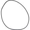 Plastica Multiport Valve 2in Cover O-Ring