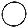 Plastica Sta-Rite Union O-Ring