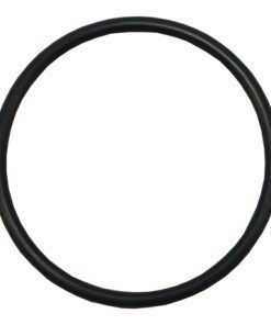 Plastica Sta-Rite Swimmey Discharge Union O-Ring