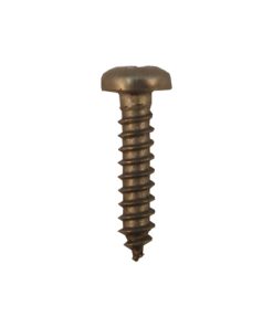 Plastica Sta-Rite Swimmey Clacker Flap Valve Screw