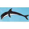Plastica Dolphin Motif Standard 4ft Length