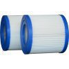 Pleatco Pool Filter Cartridge PSF1-PAIR