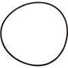 Plastica Sta-Rite Swimmey Body O-Ring
