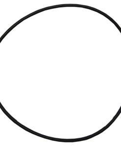 Plastica Sta-Rite Swimmey Body O-Ring
