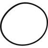 Plastica Tagelus MPV O-Ring 30in