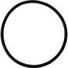 Plastica Tagelus MPV O-Ring 19in / 24in