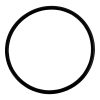 Plastica O-ring 2" Valve