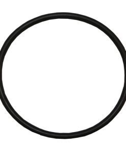 Plastica Sta Rite Onga Lid O-Ring
