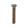 Plastica Sta-Rite Diffuser Screw and Washer 5P2R 5MPR