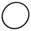 Plastica Sta Rite Lid O-Ring 5P2R