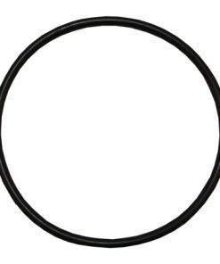 Plastica Sta-Rite Lid O-Ring 5P4R 5MPR