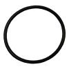 Plastica IFlo MPV/Filter Neck O-Ring