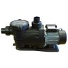 Plastica iFlo 1hp Pump