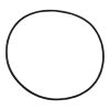 Plastica Silen Pump Body O-Ring