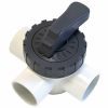Plastica 2in 3 Way valve