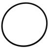 Plastica AG Pump Seal Plate O-Ring