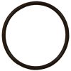 Plastica Offline Chlorinator Lid O-Ring