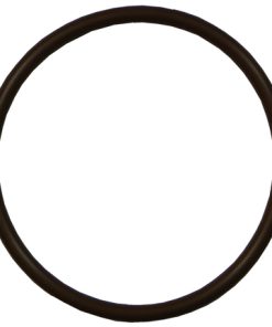 Plastica Offline Chlorinator Lid O-Ring