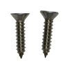 Plastica Weltico Grille Screw (Pk2)
