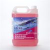 Blue Horizons Commercial Extra Kleen - Scale Kleen 1 X 5ltr