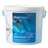 Blue Horizons Small Chlorine 20g Tablets ~ 5 Kg