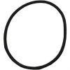 Plastica Sta-Rite Lid O-Ring 5P6R